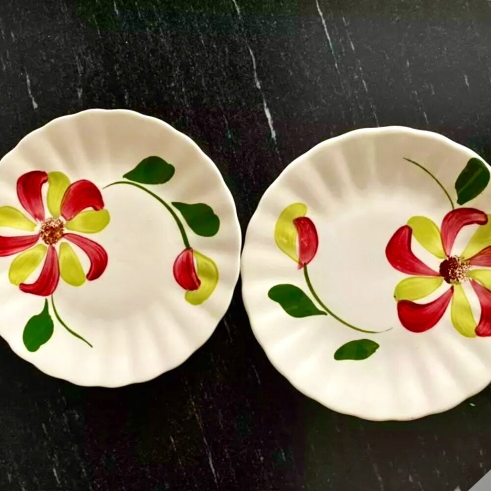 2 Blue Ridge Pottery Whirlibird Hand Painted Bread/Dessert Plates Floral Vintage